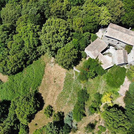Mas Des Nabieres Bed & Breakfast Saint-Martial  Екстериор снимка