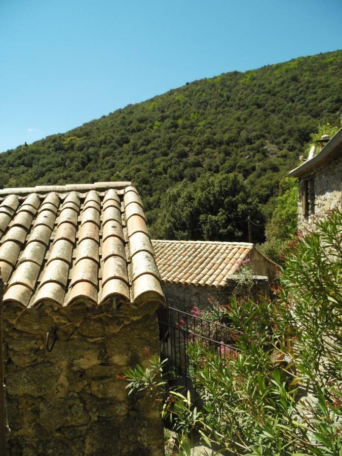 Mas Des Nabieres Bed & Breakfast Saint-Martial  Екстериор снимка